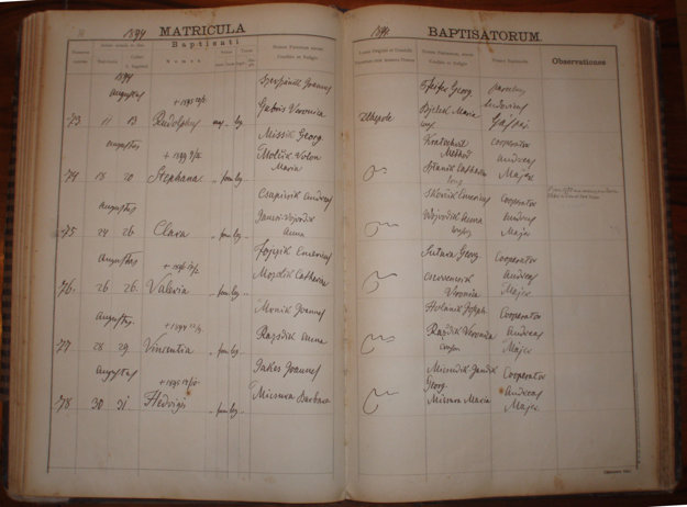 Searching in old registers requires language skills.
