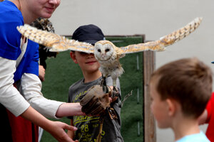 Trip guided in English offers an evening bird walk, illustrative stock photo