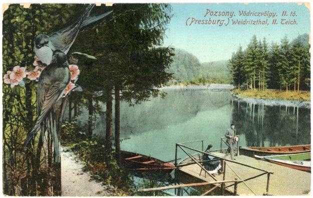 Ponds at Vydrica
