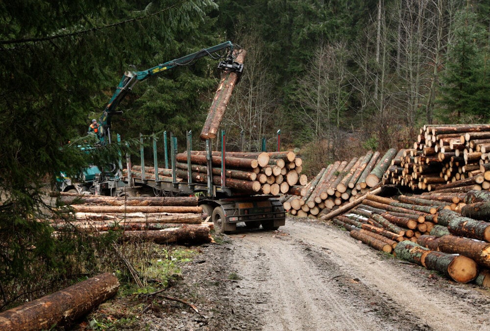Logging in Muránska planina.