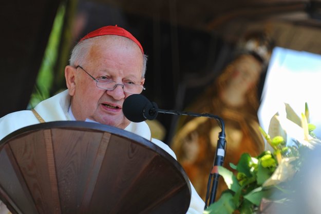 Polish Cardinal Stanislaw Dziwisz