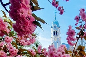 Blue Church (St Elizabeth's Church)