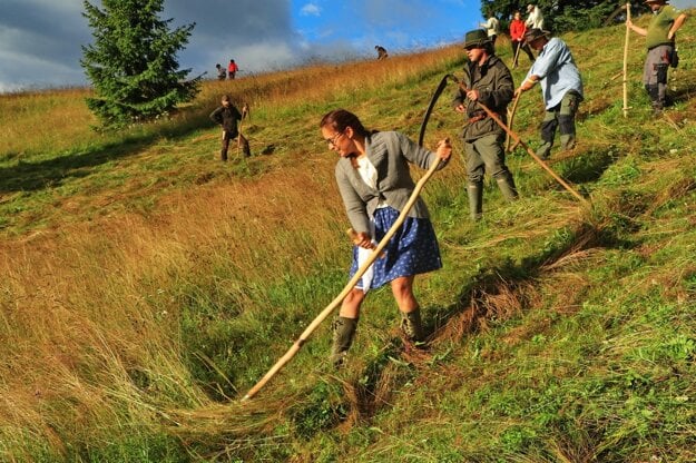 Volunteers scythe the Kopanecké lúky meadows near the village of Vernár in the Poprad district.