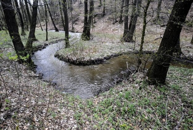The Vydrica brook