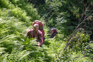 The concept of ecotourism has yet to really take off in Slovakia, but some projects can be found around the country.