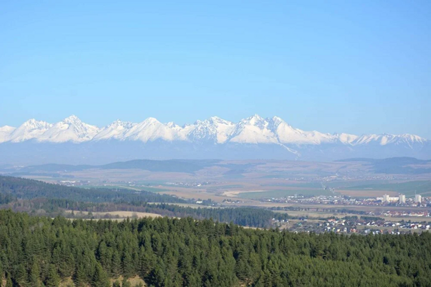 A splendid view up from the new Spišská Nová Ves lookout tower.