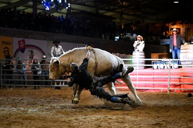 A rider tries to stay on a bull during a bull-riding competition at Ranch 13 near Nemšová on Saturday, September 24, 2022.