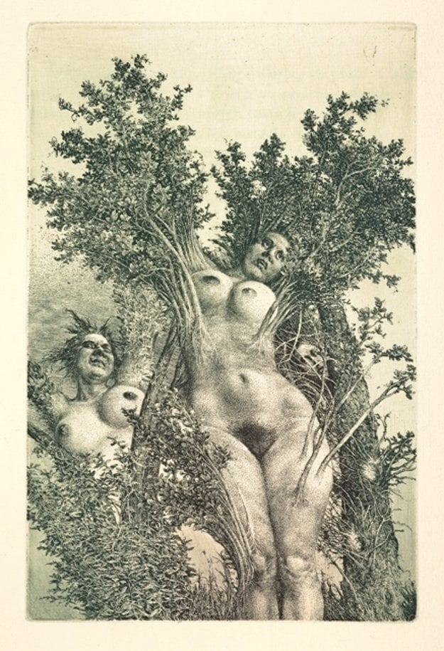 Albín Brunovský: The Tale of Orpheus V