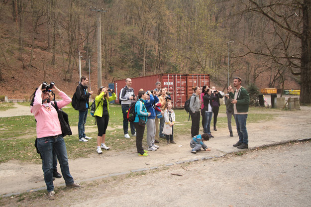 Birdwatching in Bratislava