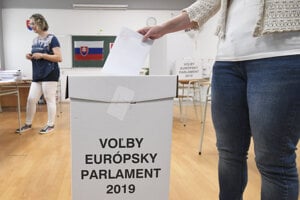 European Parliament elections 2019