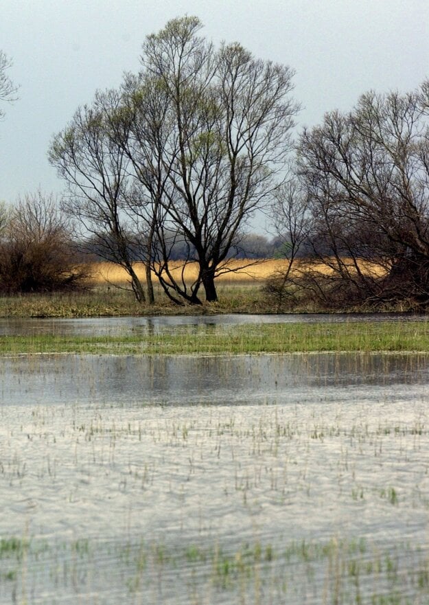 The temporary Devínske jazero lake in Bratislava.