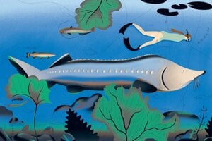 The beluga sturgeon takes readers down the Danube. 