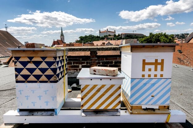 Urban bees on the roof of Bratislava City Hall on June 25, 2020.