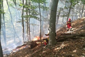 Forest fire in Mala Lodina near Kosice. 