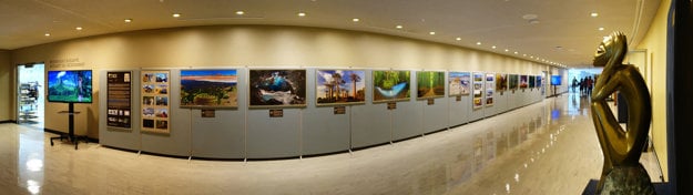 Exhibition of Filip Kulisev's photos in UN headquarters in New York.