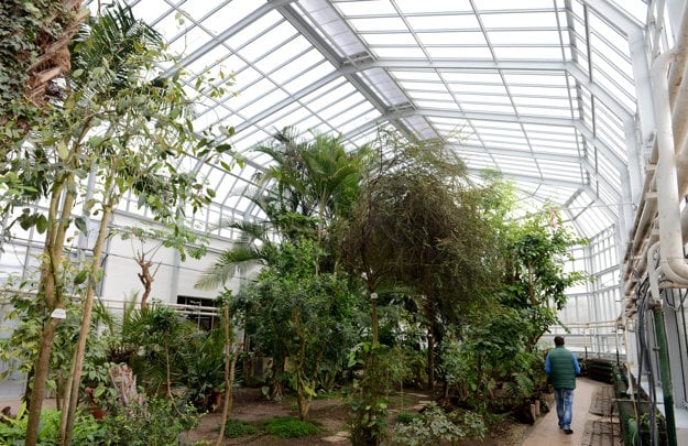 Botanical Garden in Košice