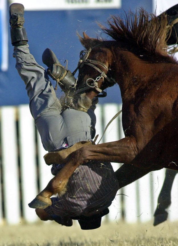 Rodeo, illustrative stock photo