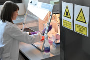 Young researchers, IT experts and medical staffers are needed in Slovakia, illustrative stock photo.