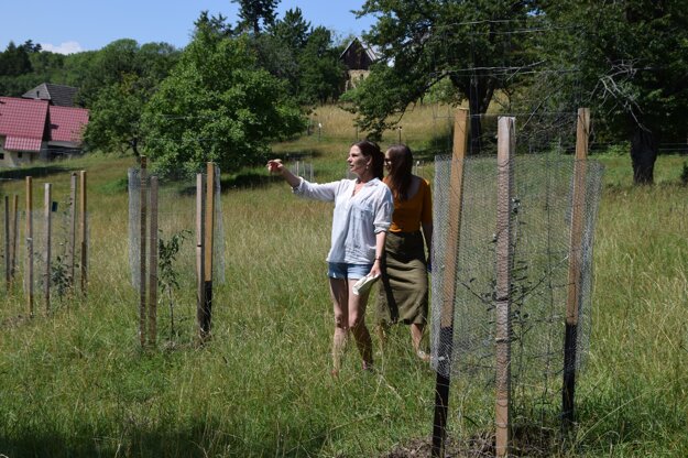 Lucie Meisner (in the white shirt) in the orchard.