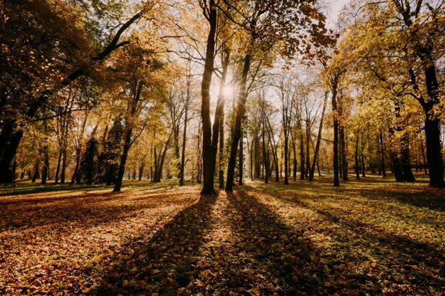 Park in Dolná Krupá