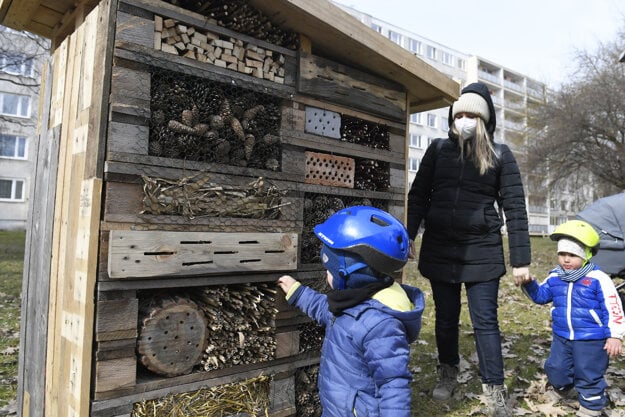 Insect hotels are made of waste material. There is gravel and rock gardens on the roof.