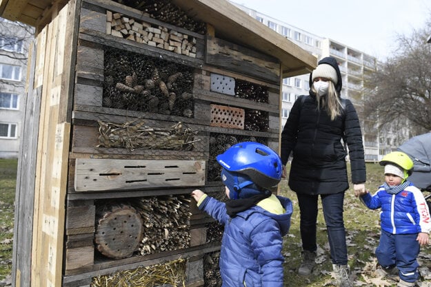  Insect hotels are made of waste material. There is gravel and rock gardens on the roof. 