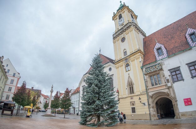 A 15-metre-tall Christmas tree has been installed on Bratislava's Main Square.