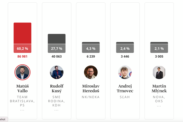Preliminary results of the Bratislava mayor election after 100 percent of the votes have been counted.