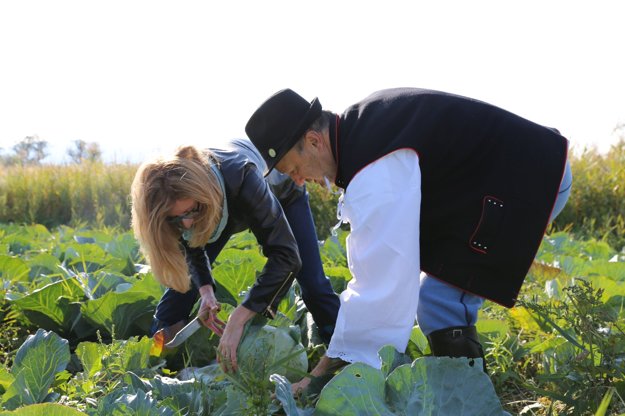 Agriculture Minister Gabriela Matečná helps to select the best cabbage. 