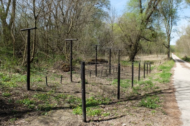 One of the latest replicas of the barbed-wire fence was built in Pečniansky Forest in the Bratislava borough of Petržalka near the B-S 4 Lány bunker. 