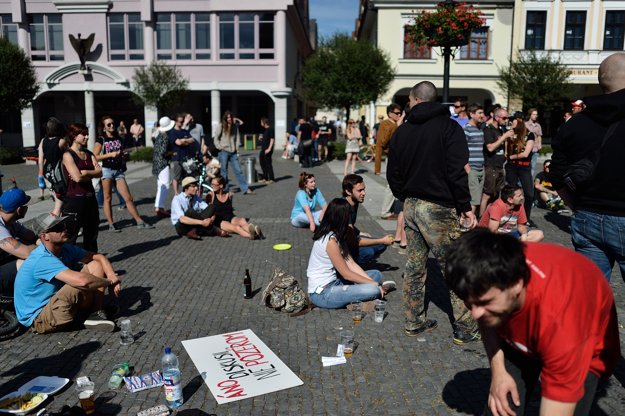 The Žilina protest against xenophobia. 