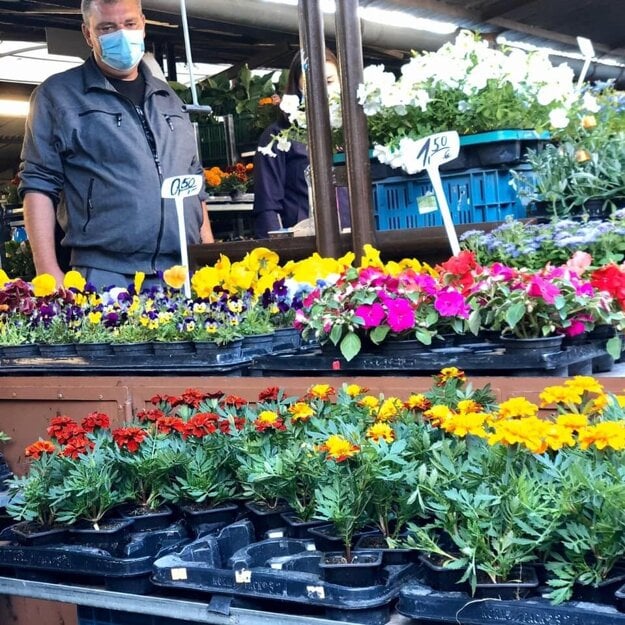 A man sells potted flowers at the Miletička open-air market in Bratislava.