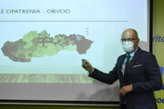 Richard Sulík introduces his plan.