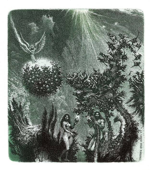 Albín Brunovksý: The Paradise