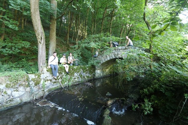 A romantic bridge in forests of Nové Mesto