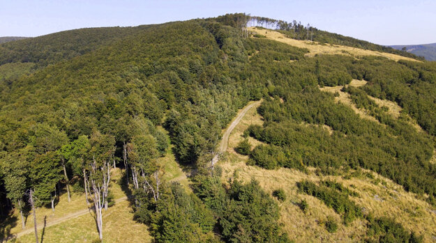 The Štefánik long-distance cycle route offers spectacular views of the Small Carpathians.