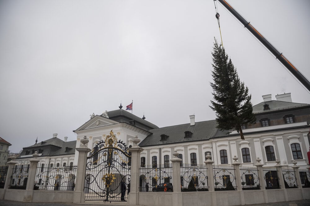The Presidential Palace now has a Christmas tree.