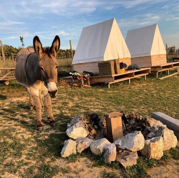Michael Rinderle has travelled across Africa on a motorbike in the past. Today, he is using a donkey to get to Iran.