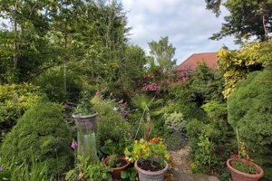 One legacy of my mum's lockdown was the beautiful garden that I could enjoy during my summer in England. 