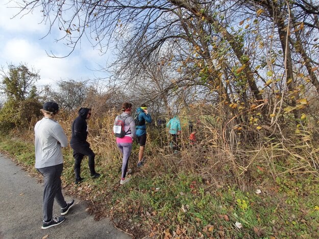 To cross the border, the runners only needed to fight their way through the bushes separating the road on the Slovak side and the Austrian fields.