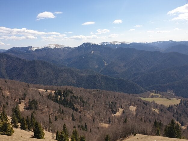 View from Lysec