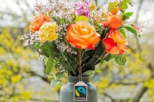 Fairtrade flowers hit the Slovak market 