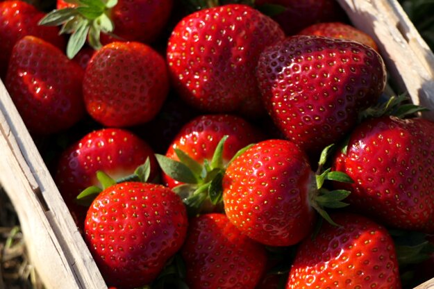 Strawberries in a basket. 