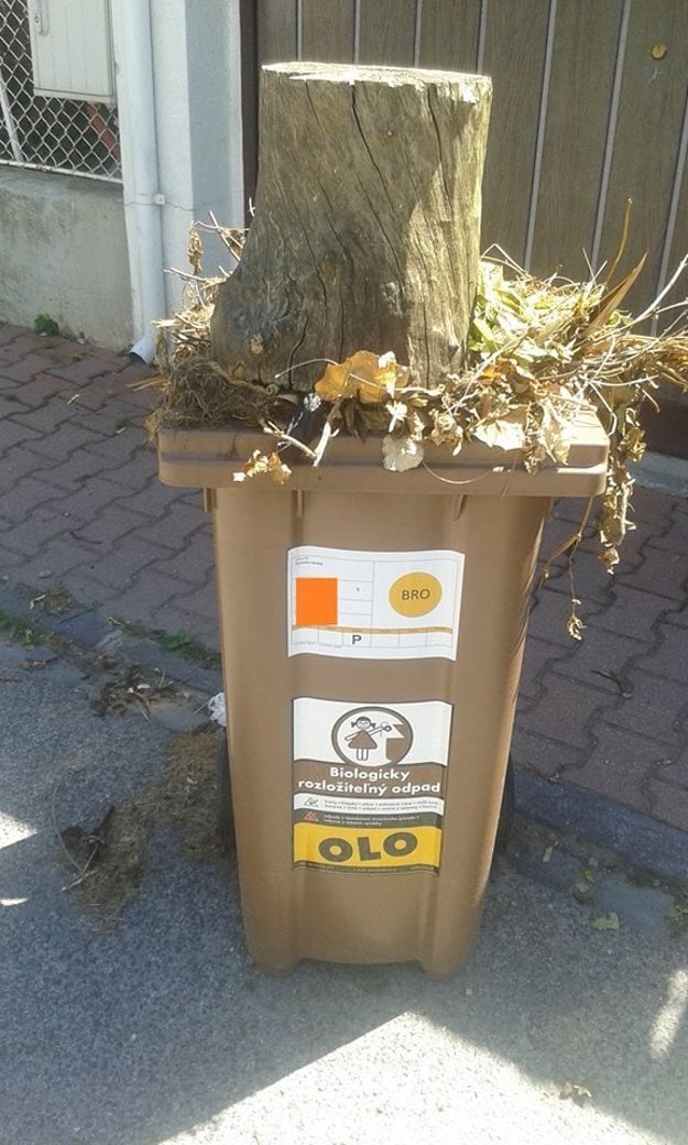 An example of waste, even though it is biowaste, that OLO does not collect. This time due to its size.
