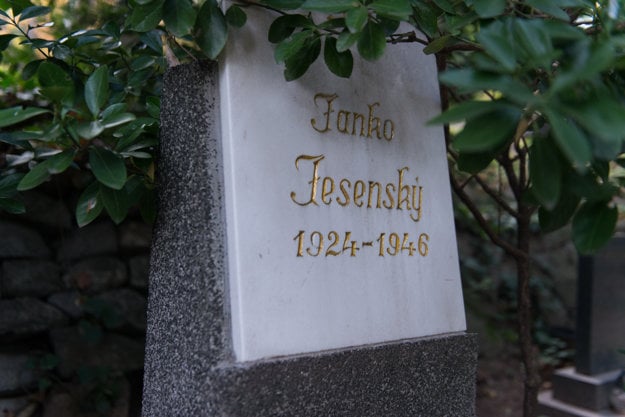 The tomb of Janko Jesenský, nephew of the writer Janko Jesenský.