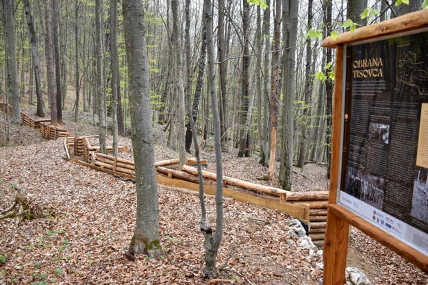 A trench line in the woods of the Dielik mountain pass.