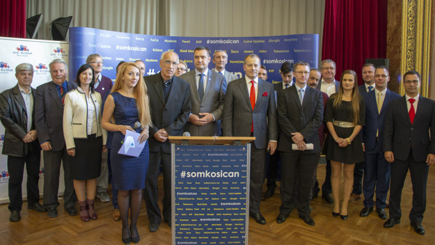 Tri demokratické strany majú dokopy 30 kandidátov na poslancov mestského zastupiteľstva.