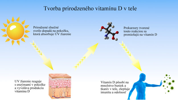 Tvorba vitamínu D