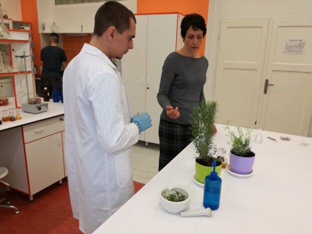 Úspešnému riešeniu postupu ako získať nanočastice z rastlín predchádzajú konzultácie priamo v laboratóriu nanomateriálov a nanotechnológií.