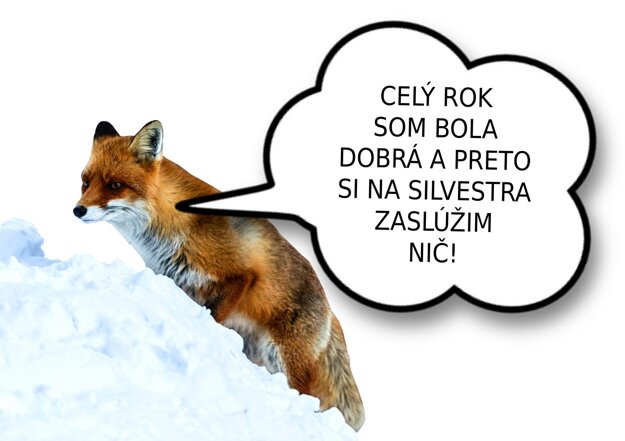  (zdroj: tatry.sk)